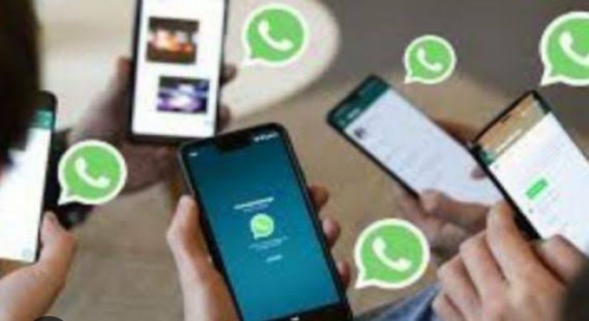 WhatsApp Menguji Fitur Baru dalam Pengelolaan Kontak