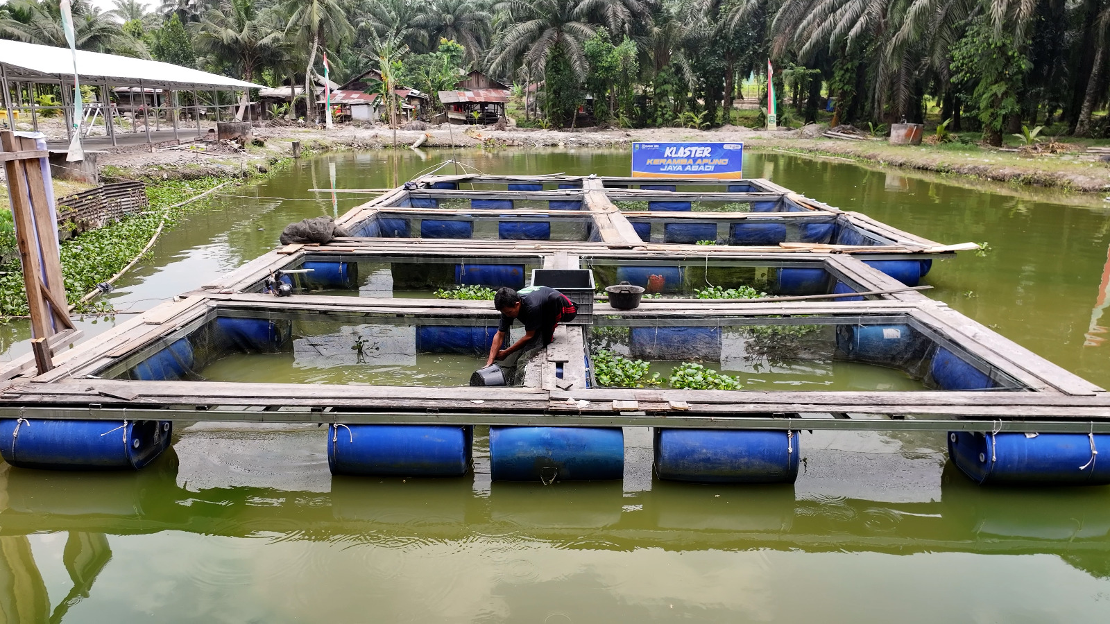 Terus Bergeliat, Pemberdayaan BRI Ungkit Perekonomian Desa Empang Baru
