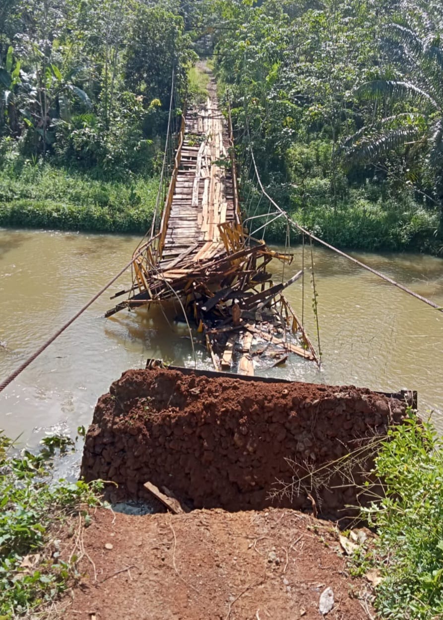 PARAH, Begini Penampakan Kondisi Jembatan Penghubung 2 Desa di Bengkulu Utara