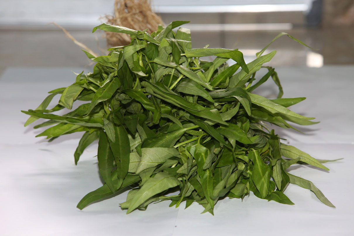 4 Manfaat Kangkung bagi Kesehatan, Bantu Cegah Anemia hingga Jaga Mata