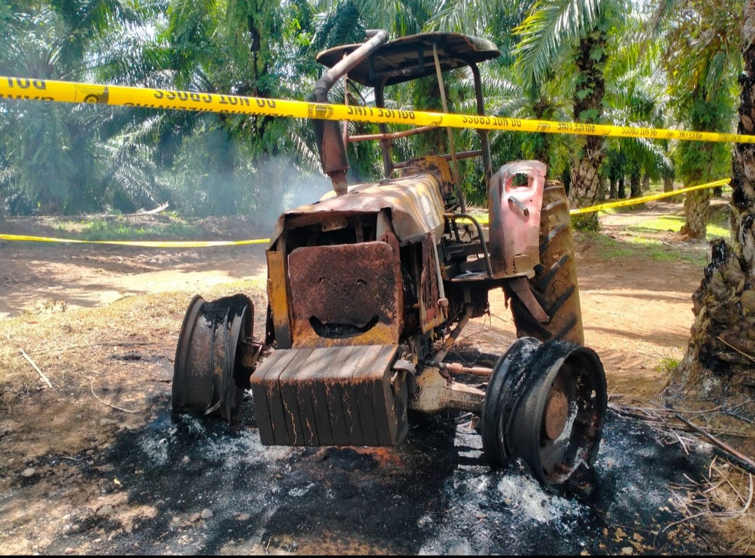 11 Pelaku Terduga Pembakar PT BRS di Bengkulu Utara Digulung Polisi