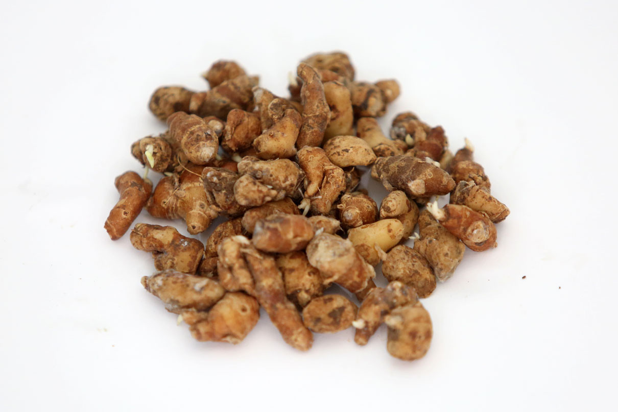 Manfaat Kencur Campur Jahe, Ampuh Atasi Masuk Angin