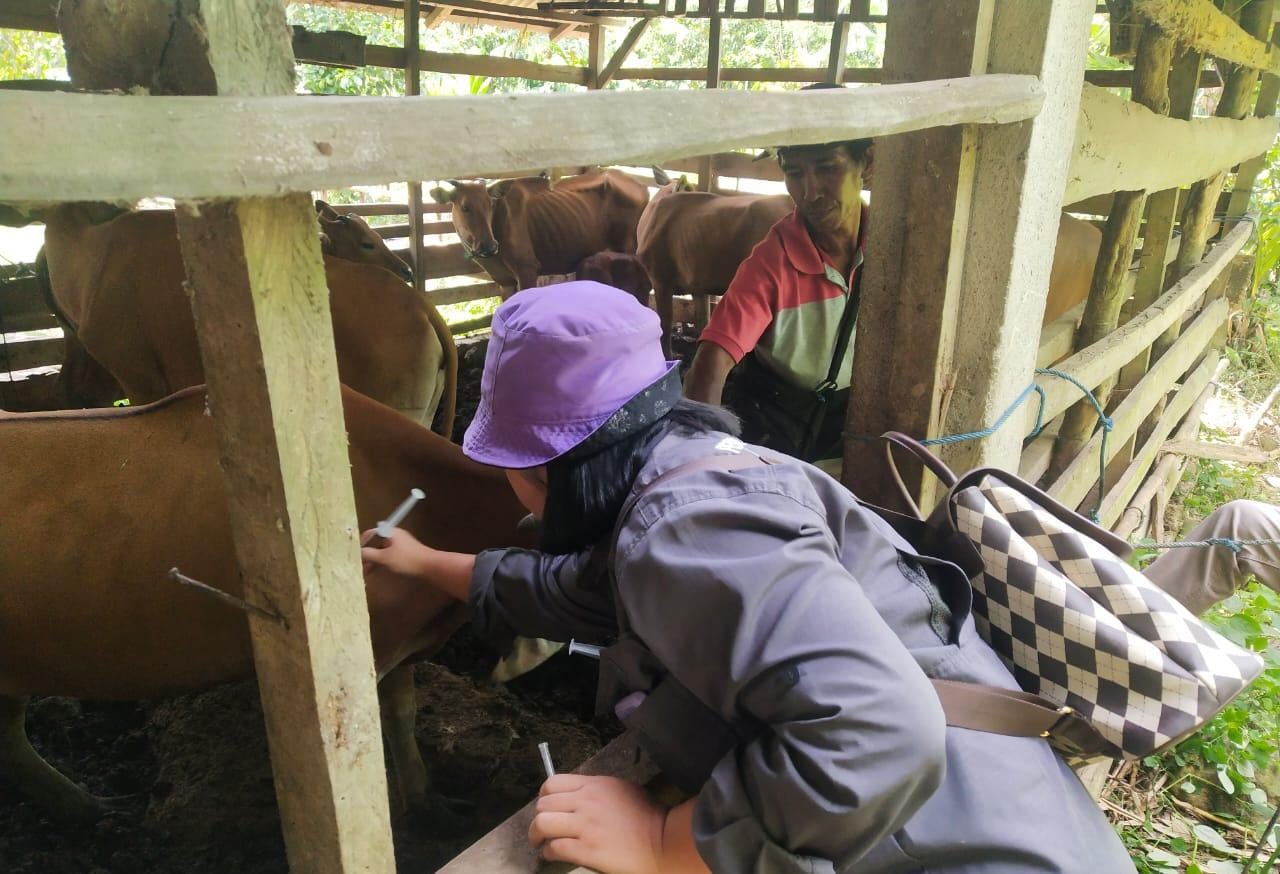 Jelang Idul Adha, Wabup Minta Disperkan Perketat Pemeriksaan Hewan Kurban 