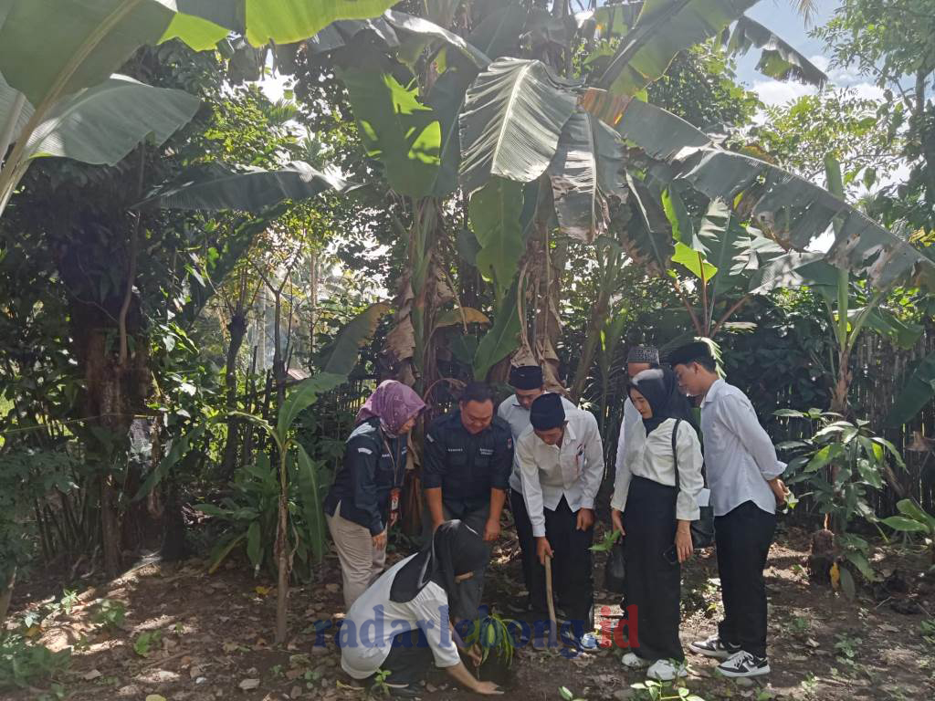KPPS Tanam Pohon di Lebong, Dukung Pemilu Ramah Lingkungan