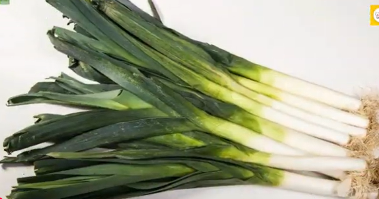 MODAL SEKALI UNTUNG TERUS! 5 Tanaman Sayur yang Bisa Dipanen Berkali-kali di Rumah