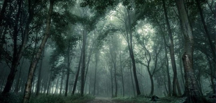 Legenda Orang Bunian Penghuni Hutan Sumatera, Begini Mitosnya!