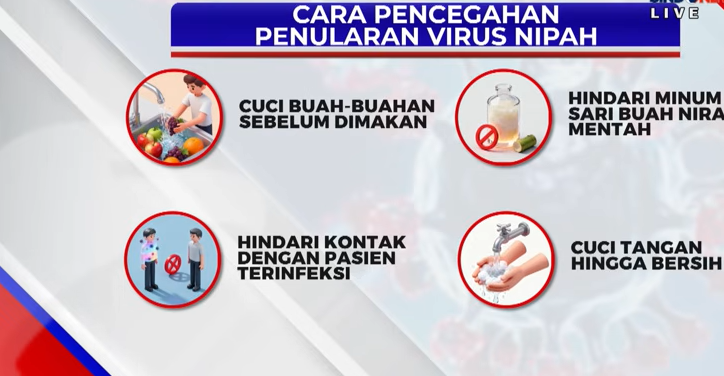 Waspada Virus Nipah: Bahaya Penularan dari Babi dan Kelelawar