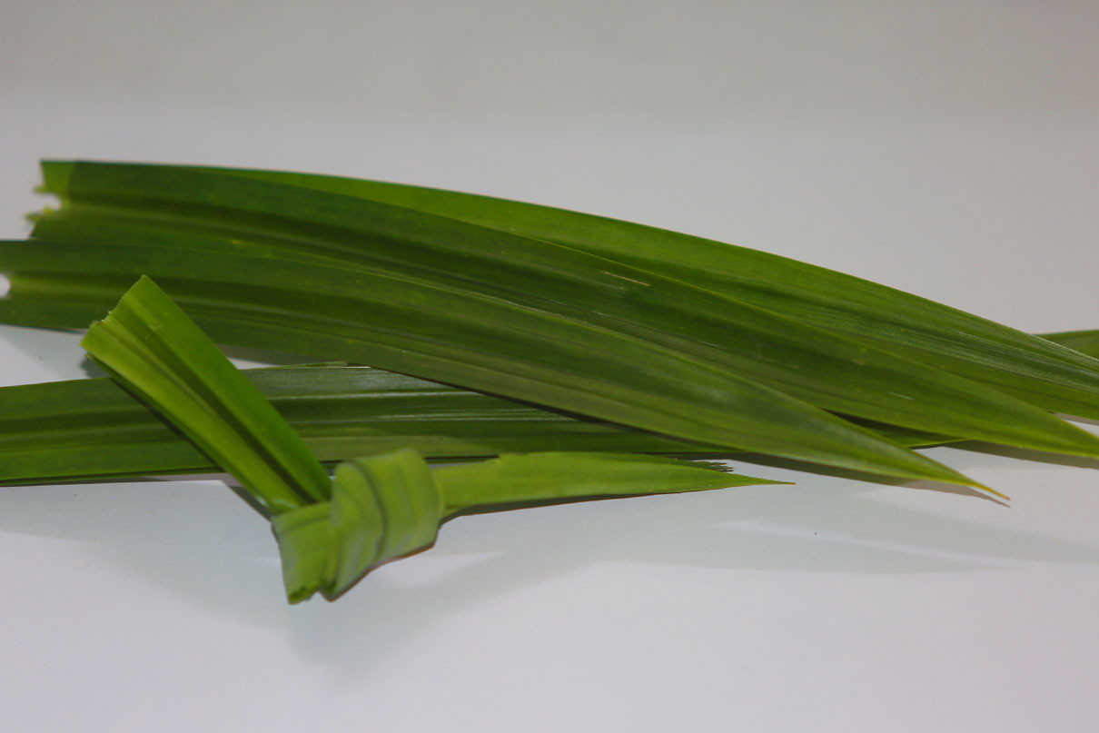 Tak Hanya Pewangi, Ini 4 Manfaat Daun Pandan untuk Kesehatan  