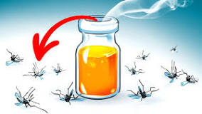 Tanpa Obat Nyamuk, Ini Tips Mengusir Nyamuk dengan Bahan Alami, Dijamin Ampuh
