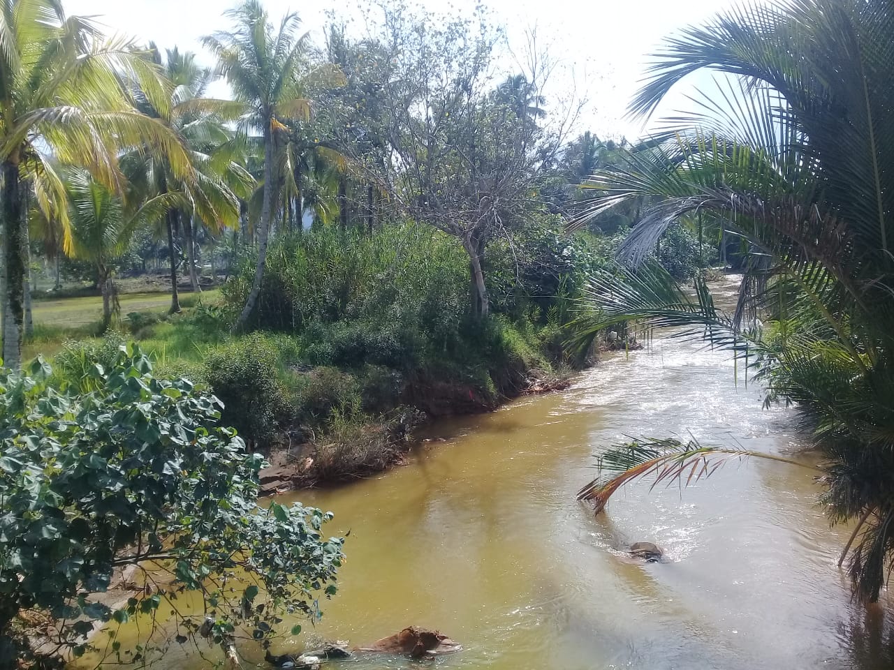 Sawah Kerap Kebanjiran, Petani Tagih Janji Pembangunan Bronjong 