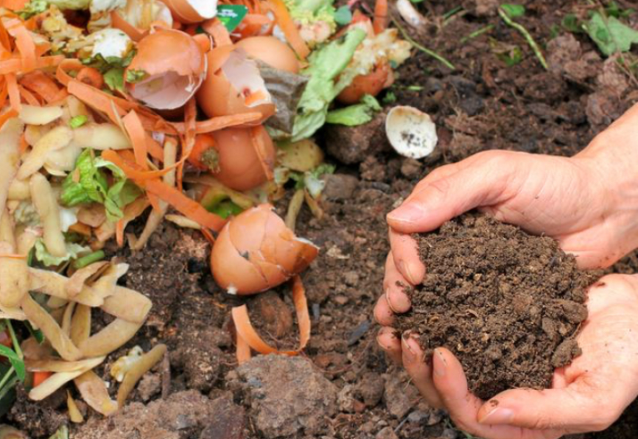 4 Limbah Dapur Ini Ternyata Bisa di Olah Jadi Pupuk Mahal
