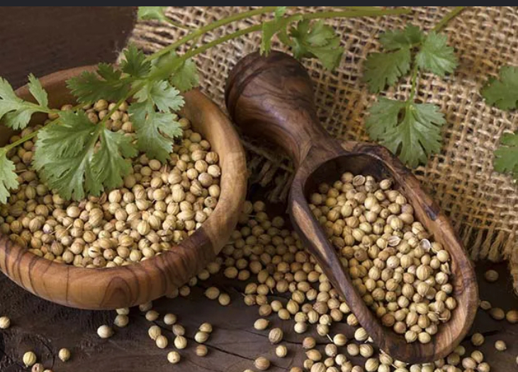 3 Herbal untuk Redakan Migrain dengan Cepat