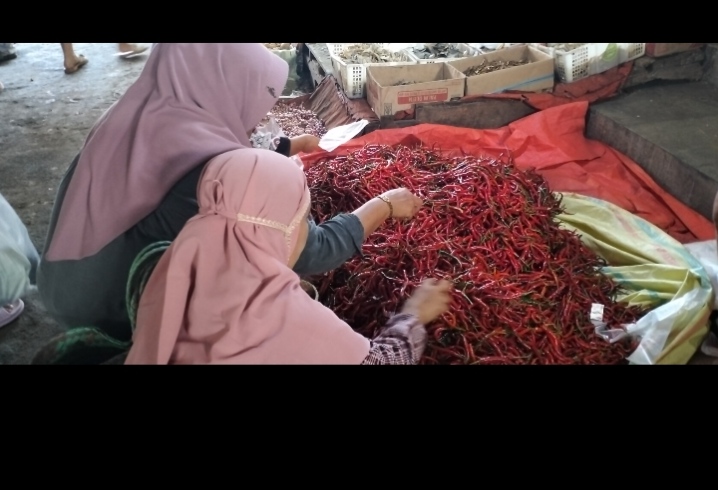 Info Harga Cabai di Lebong Akhir Bulan April 2026
