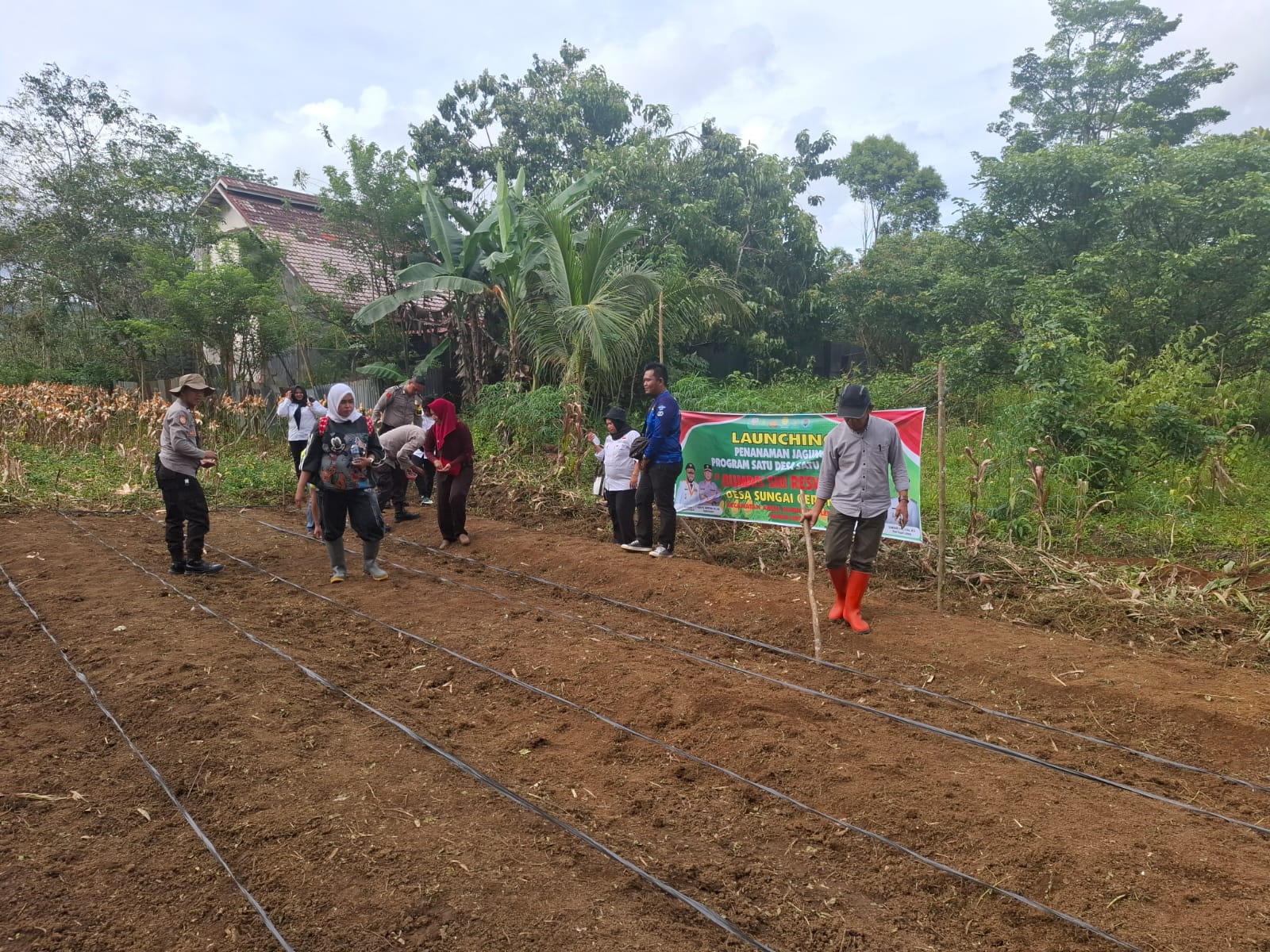PemDes Sungai Gerong Laksanakan Kegiatan Penanaman Jagung Program 
