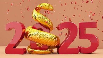 Prediksi Keuangan Shio Tikus di Tahun Ular Kayu 2025: Peluang dan Tantangan