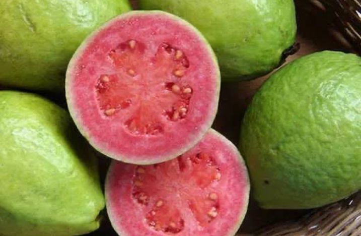 Fakta Atau Mitos Jambu Biji Bisa Turunkan Gula Darah?