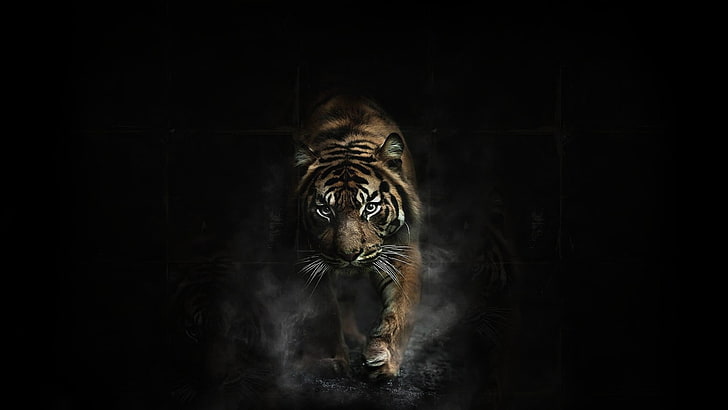 Bukit Sarang Macan Provinsi Bengkulu, Legenda Harimau Siluman yang Konon Hidupnya Bestie dengan Masyarakat