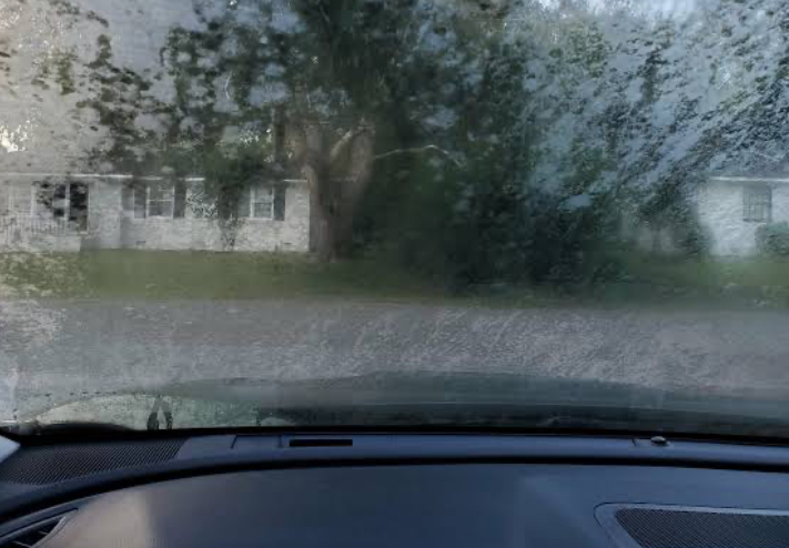 Atasi Kaca Mobil Buram Karena Jamur dengan 3 Bahan Alami Ini