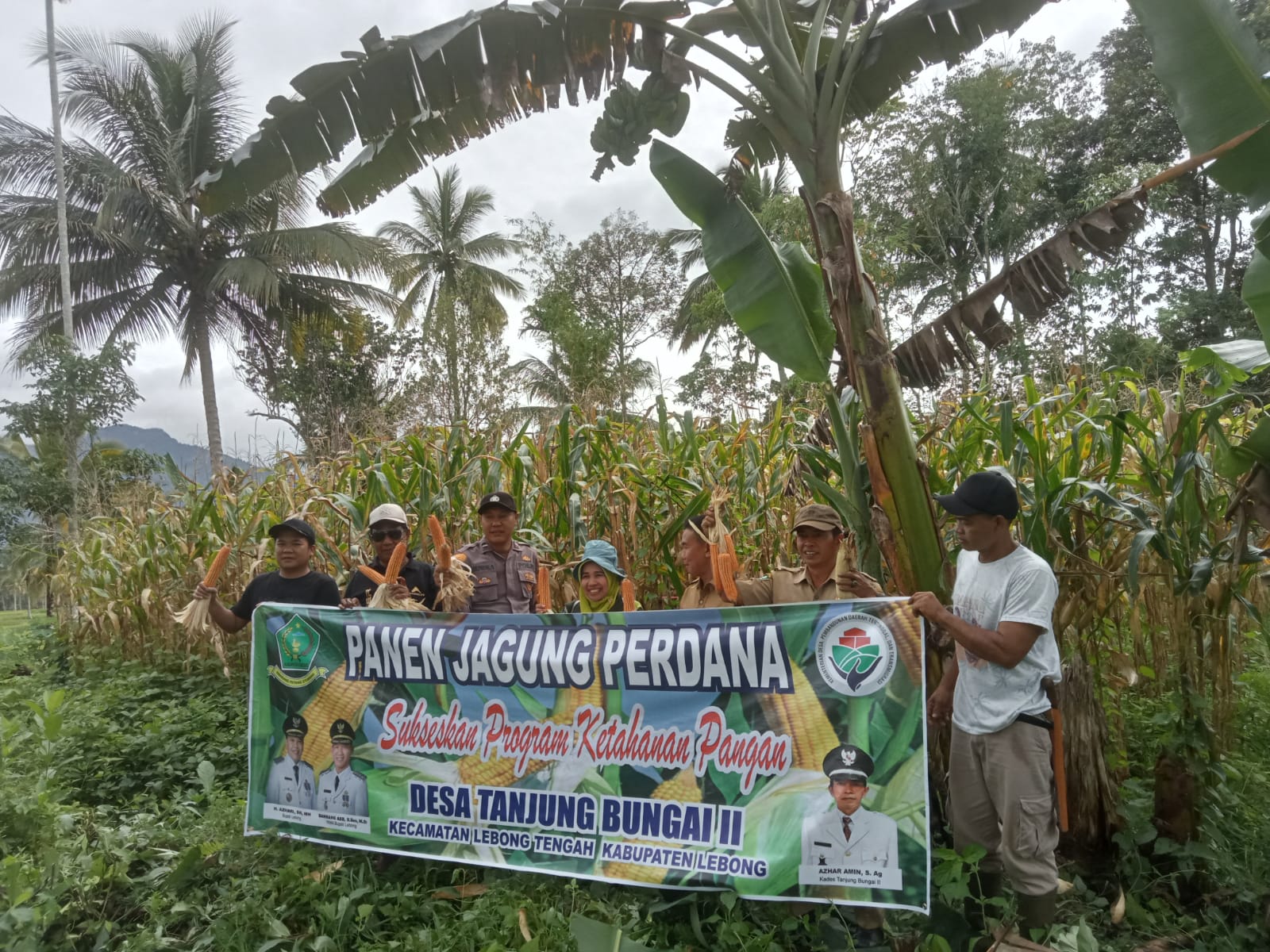 Program Sade Sahe Berhasil, Desa Tanjung Bungai II Panen Raya Jagung