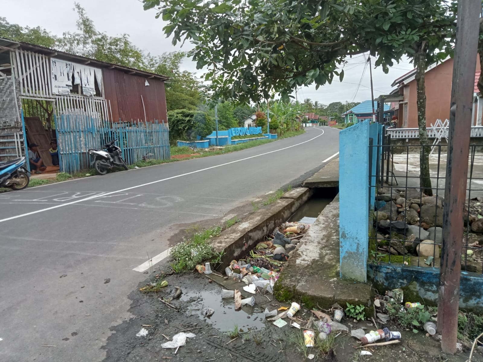 Musim Hujan,Warga Lebong Diimbau Waspada Demam Berdarah