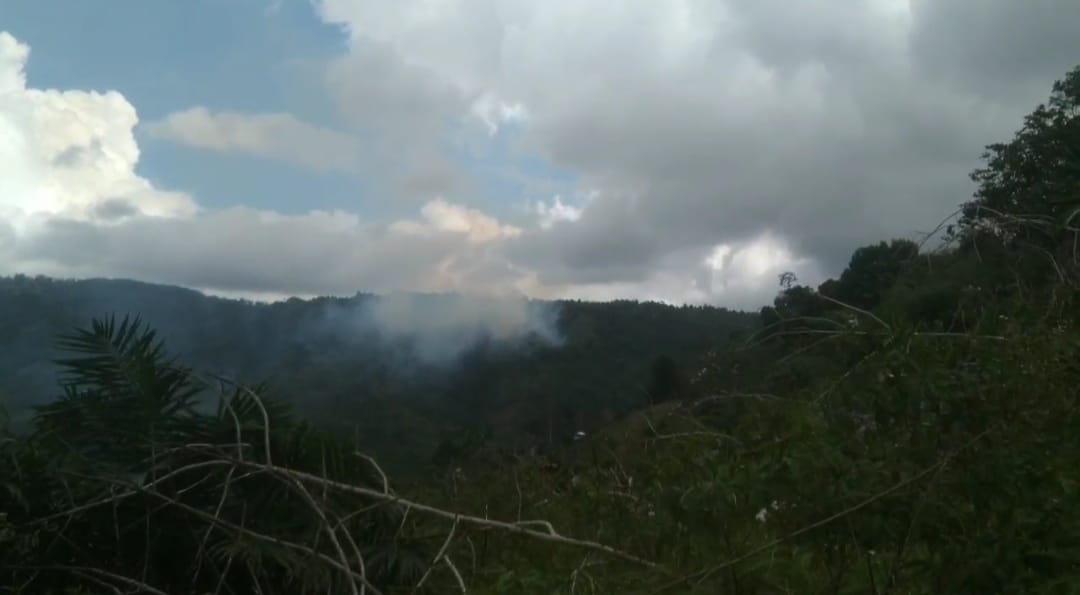 Si Jago Merah Mengamuk, Lalap Setengah Hektare Kawasan Hutan dan Semak Belukar 