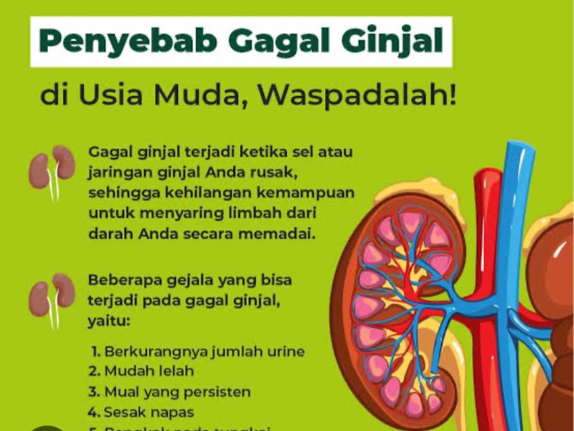 6 Kebiasaan Ini Bisa Menyebabkan Gagal Ginjal Di Usia Muda