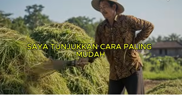 Manfaat Mengolah Rumput Menjadi Kompos Organik Berkualitas Tinggi