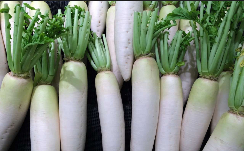 Khasiat Lobak Putih, Ampuh Obati Penyakit Asma