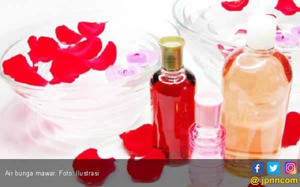 Bukan Cuma Cantik, Ini Cara Mudah Bikin Ramuan Air Mawar Campur Madu yang Kaya Manfaat