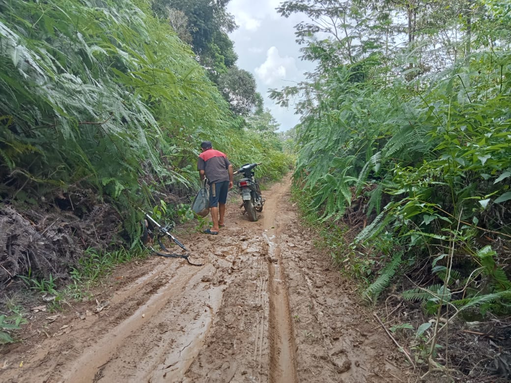 Pemkab Lebong Pastikan Pembangunan Jalan Danau Liang–Turan Inggep Dimulai 2026