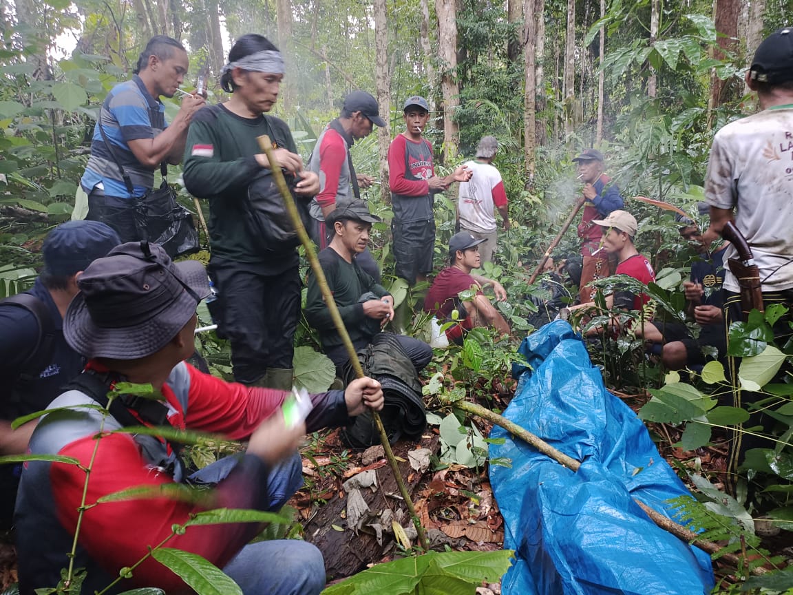 Saat Patroli, Polhut Bengkulu Utara Tewas Tertimpa Pohon di Hutan TNKS 
