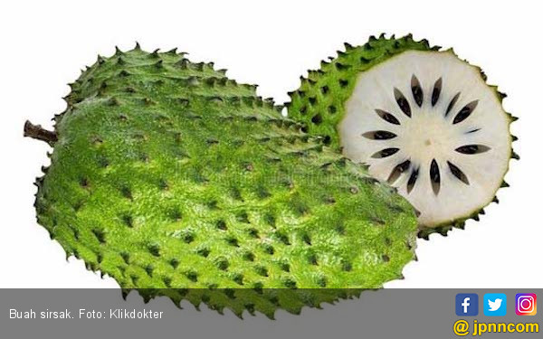 5 Manfaat Daun Sirsak Campur Madu, Ampuh Atasi Sakit Pinggang