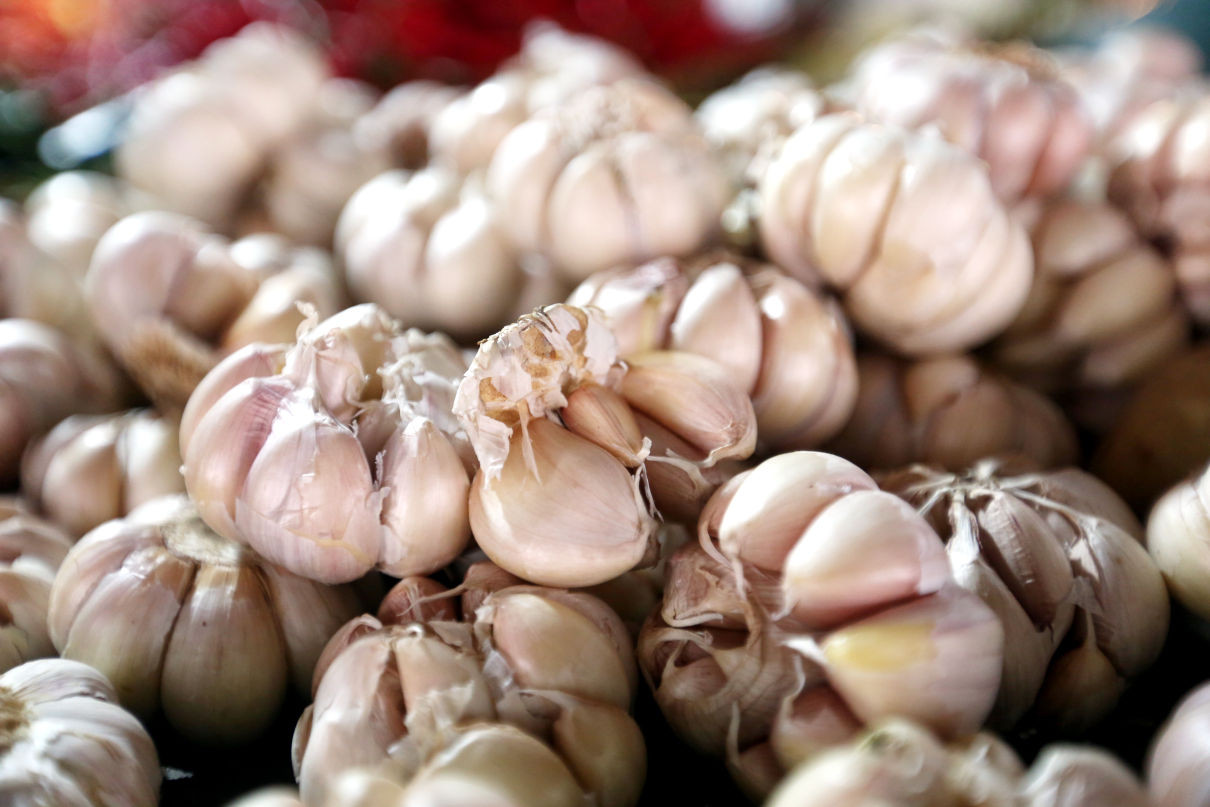 5 Herbal Alami Penurun Darah Tinggi, Mulai dari Jahe hingga Bawang Putih