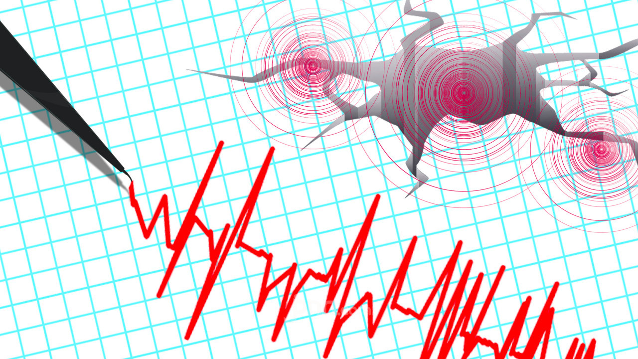 Gempa M 7,7 Guncang Flores, BMKG Keluarkan Peringatan Dini Tsunami