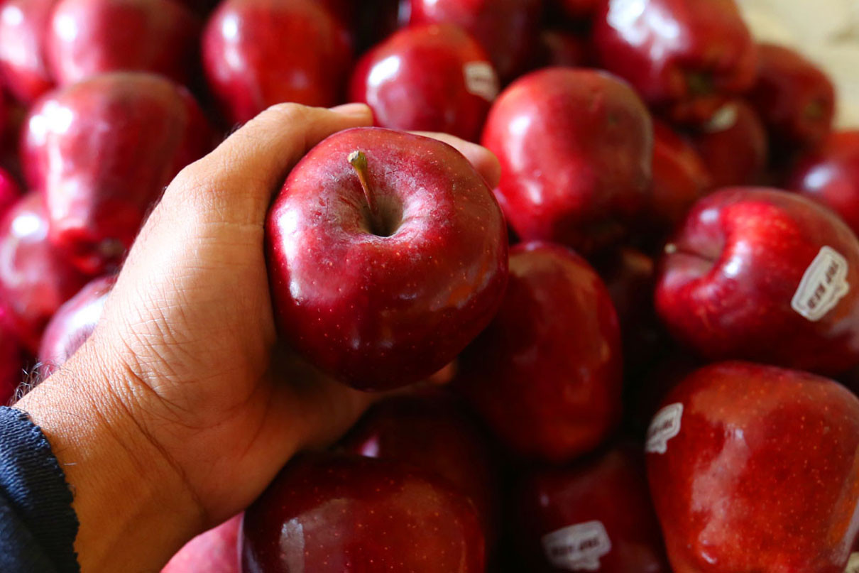 Hati-hati, 5 Buah Ini Justru Tidak Boleh Dikonsumsi untuk Sarapan