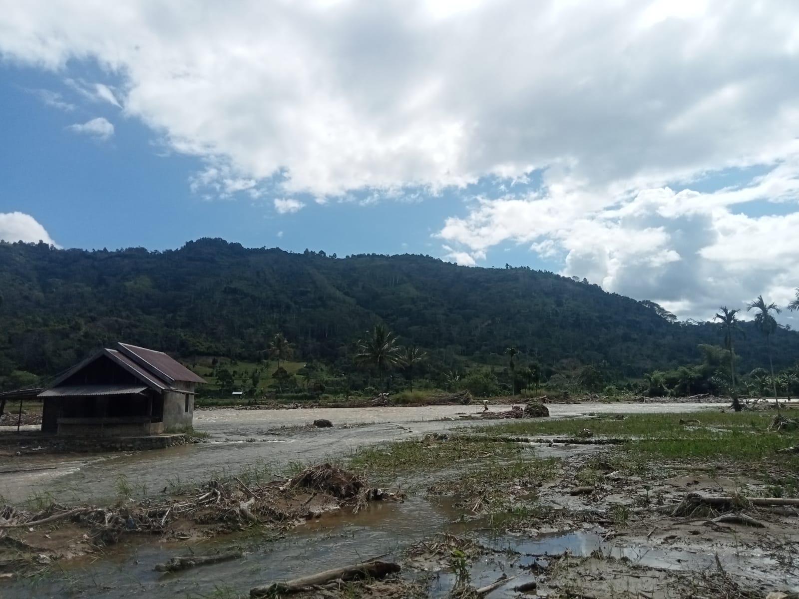 Puluhan Hektar Sawah di Lebong Hilang akibat Banjir Bandang, Pemerintah Diminta Bertindak Cepat