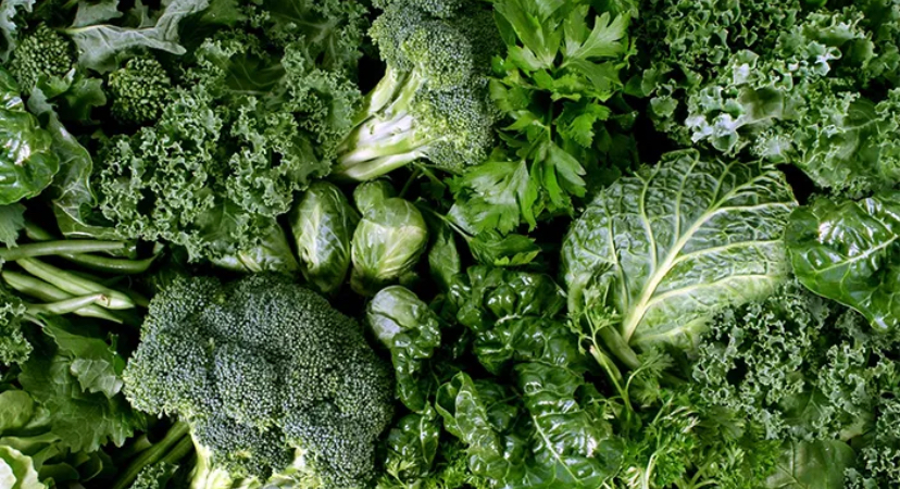 5 Makanan yang Bagus di Konsumsi Untuk Kesehatan Usus 