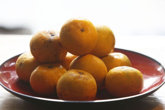 Ingin Terhindar dari Pikun? Rutin Makan 4 Jenis Makanan Ini