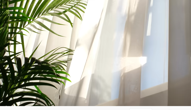 Tanaman Hias yang Tidak Boleh Terkena Sinar Matahari Langsung