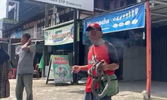 Viral Pria Bermain Ular Kobra, Berujung Maut di Kepahiang