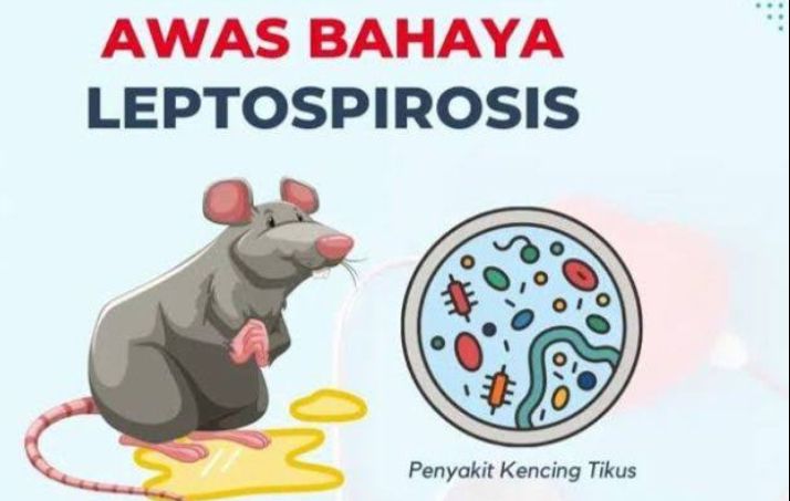 Musim Hujan Rawan Penyakit, Salah Satunya Penyakit Leptospirosis