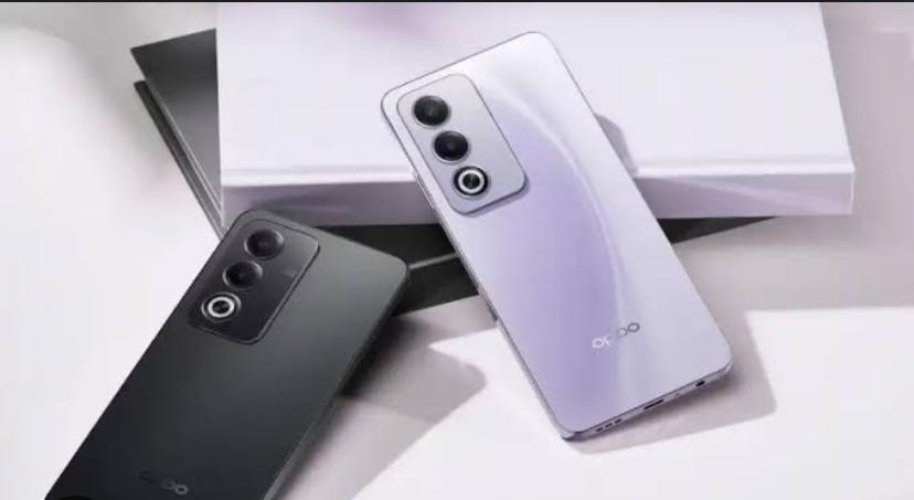 Berikut Ini Daftar HP Oppo Yang Alami Pembaruan Sistem Operasi ColorOS 14