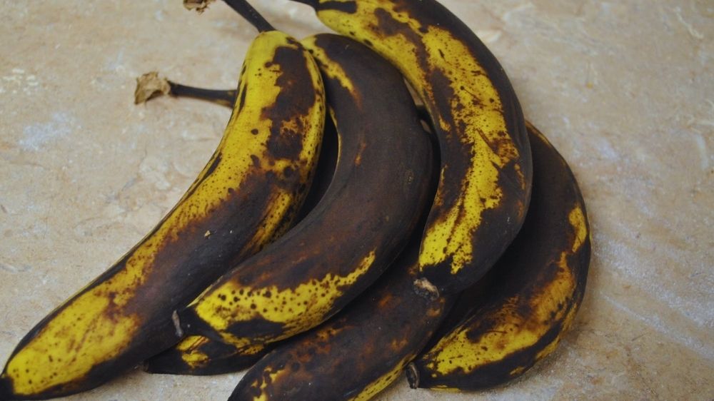 Punya Pisang Busuk Jangan Dibuang! Bisa Diolah Jadi Cairan Ajaib, Bikin Tanaman Kamu Berbuah Lebat 