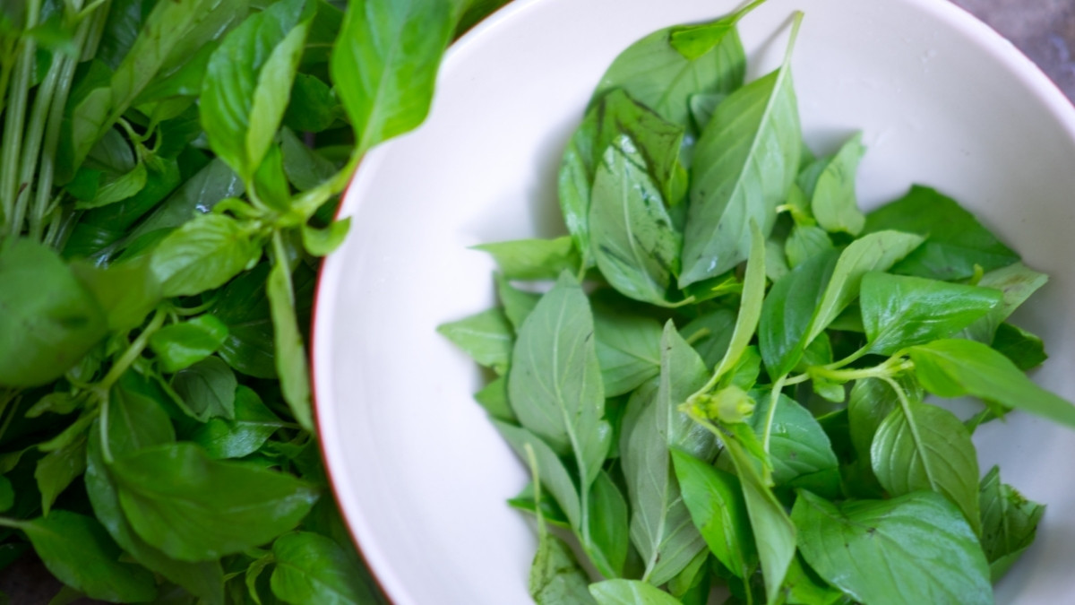 4 Ramuan Herbal untuk Promil Cepat Hamil, Terbukti Secara Ilmiah