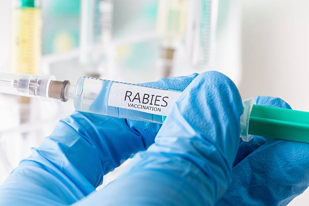 Sejak Januari - April 2026,  Sudah 60 Kasus Gigitan Hewan Penular Rabies di Lebong