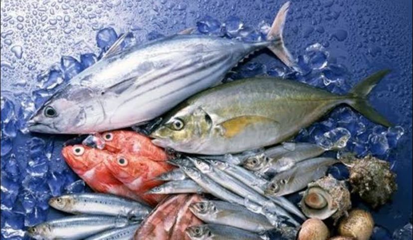 Deretan Ikan Dengan Kandungan Merkuri Terbanyak, Apakah Berbahaya Jika Dikonsumsi?