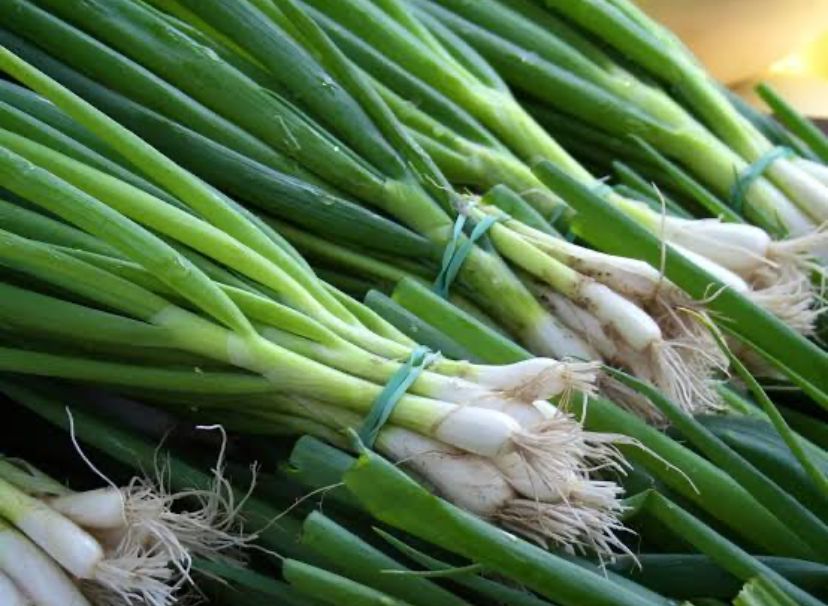 6 Manfaat Daun Bawang Bagi Kesehatan Bikin Tulang Makin Kuat