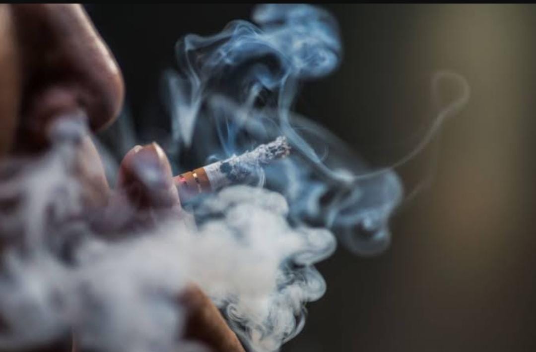 Perokok Aktif Wajib Tahu, Berikut 8 Cara Bersihkan Paru-Paru Kotor dan Nikotin Dalam Tubuh 