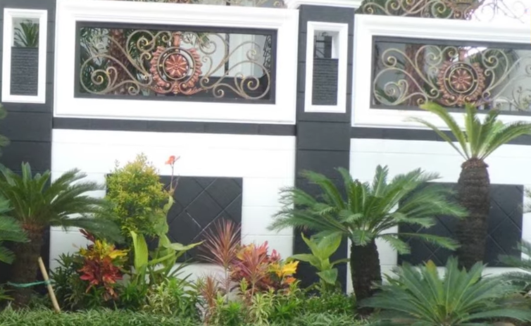 6 Tanaman Depan Rumah Minimalis yang Estetik dan Instagramable