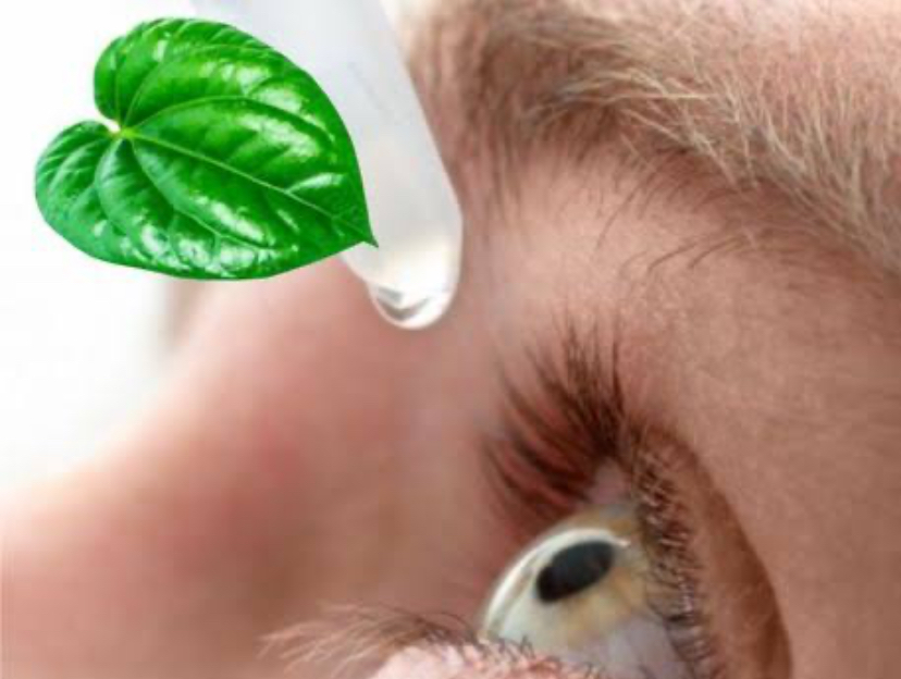 Tanaman Herbal yang Baik untuk Menjaga Kesehatan Mata